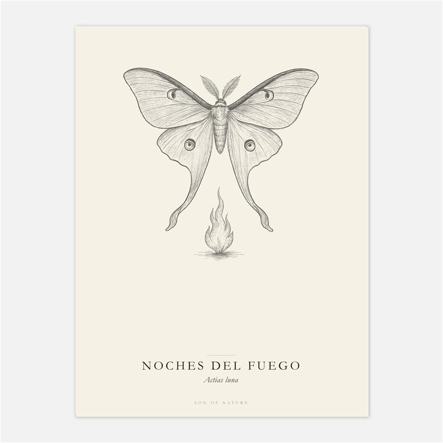 Noches del Fuego luna moth fine art print.